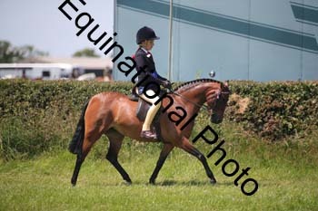 1_HOQ-1716