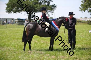 1_HOQ-1728
