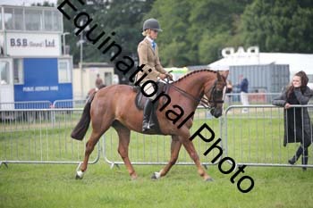 HOQ-1065