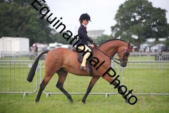 HOQ-1079