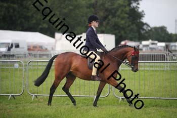 HOQ-1088
