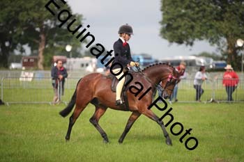 HOQ-1113