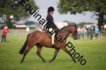HOQ-1116