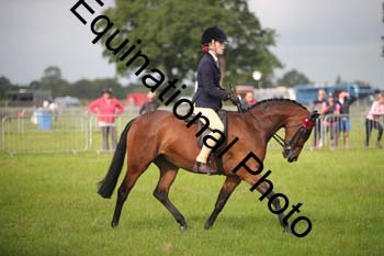 HOQ-1117