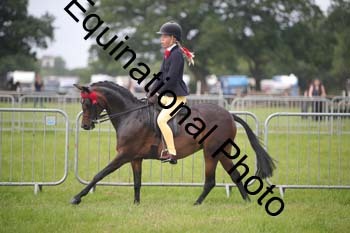 HOQ-1143