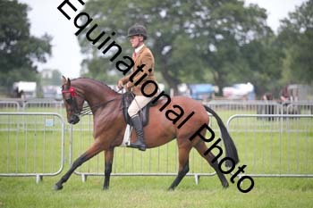 HOQ-1144