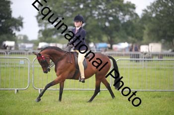 HOQ-1149