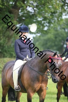 HOQ-1187