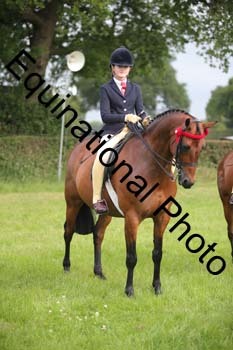 HOQ-1194