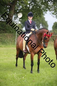 HOQ-1195