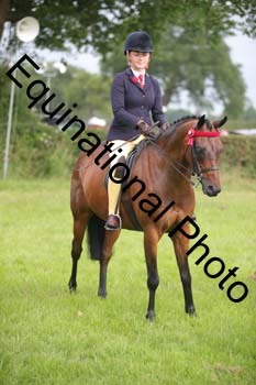 HOQ-1200