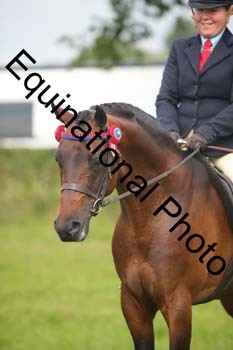 HOQ-1213