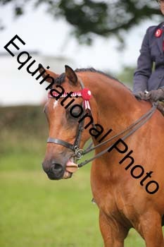 HOQ-1225