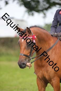 HOQ-1226