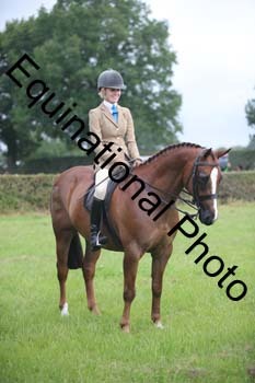HOQ-1233