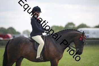 HOQ-1236