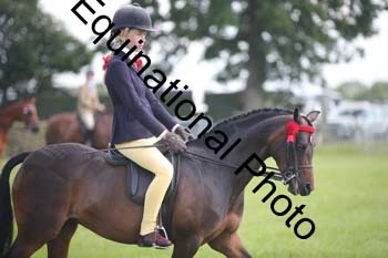 HOQ-1237