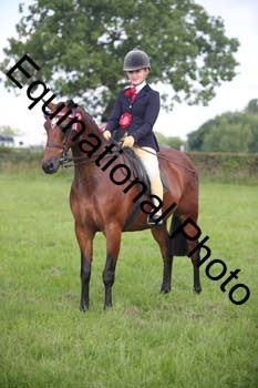 HOQ-1260