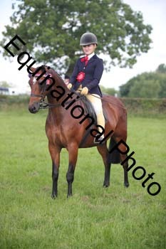 HOQ-1261