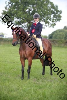 HOQ-1262