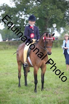 HOQ-1272