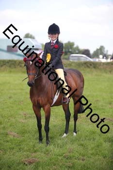 HOQ-1282
