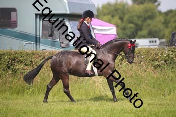 HOQ-1287