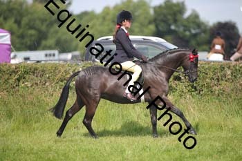 HOQ-1288