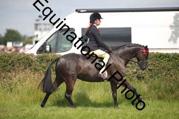 HOQ-1289