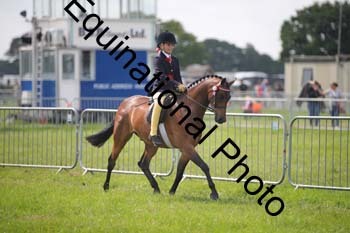HOQ-1292
