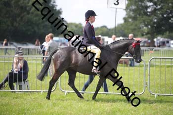 HOQ-1297