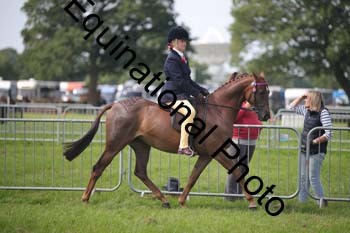 HOQ-1326