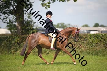 HOQ-1328