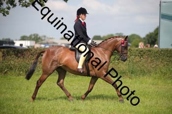 HOQ-1331