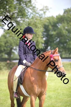 HOQ-1338