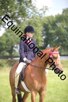HOQ-1339