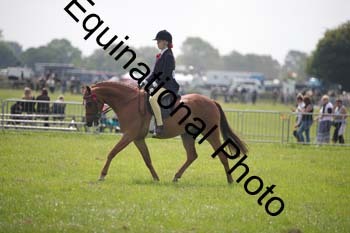 HOQ-1343
