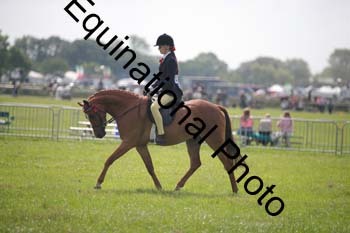 HOQ-1344