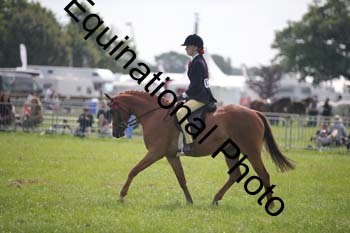 HOQ-1346