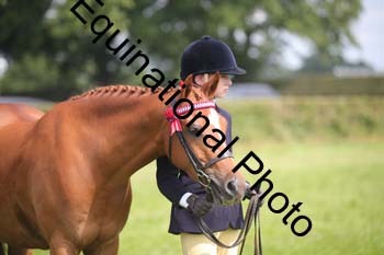 HOQ-1349