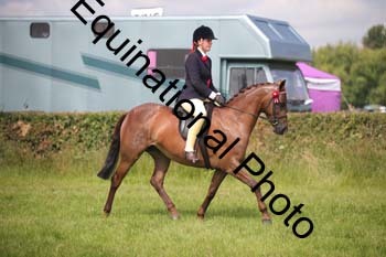 HOQ-1366