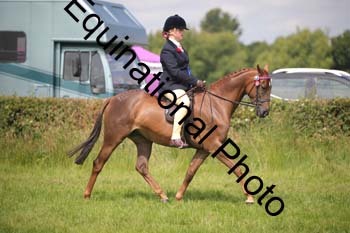 HOQ-1368