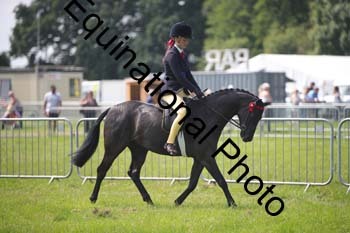 HOQ-1380