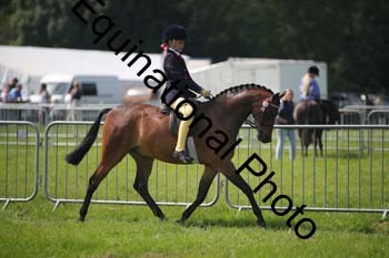 HOQ-1382