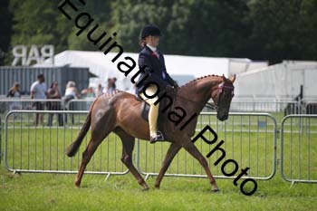 HOQ-1385