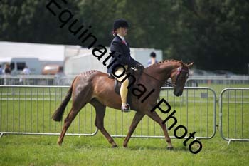 HOQ-1386