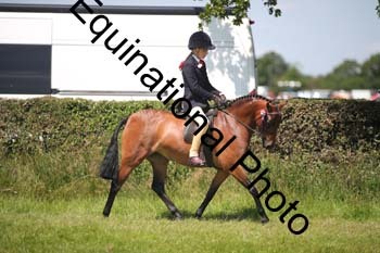 HOQ-1391