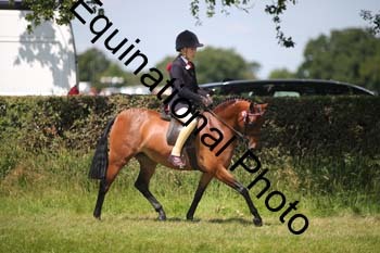 HOQ-1392