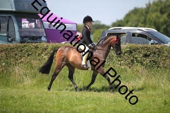 HOQ-1396