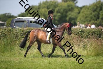 HOQ-1397